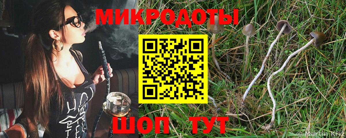 Обь  Псилоцибиновые грибы MAGIC MUSHROOMS  Вход с VPN  Галлюциногенные грибы прущие грибы 
